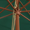 Grüner Sonnenschirm Lauren 400x273cm