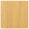 Tischplatte Gil 70x70x2,5cm (Bambus)