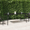 Gartentisch Anthrazit Ianorel 165x80x71cm (Stahl)