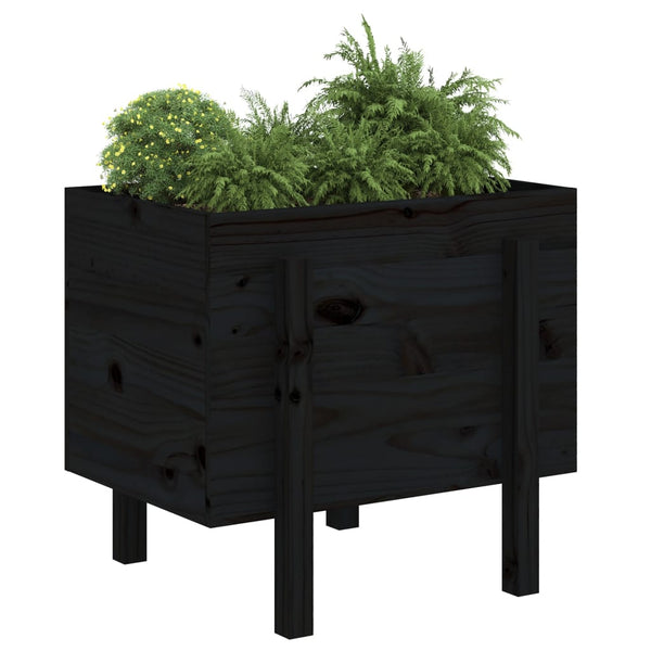 Blumenkasten Palmiera, schwarz, 62x50x57cm (Kiefer)
