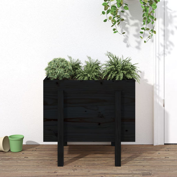 Blumenkasten Palmiera, schwarz, 62x50x57cm (Kiefer)