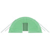 Grünes Gewächshaus mit Stahlrahmen Viliuta 12 m² 6x2x2,85 m