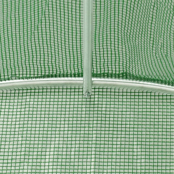 Grünes Gewächshaus mit Stahlrahmen Viliuta 12 m² 6x2x2,85 m