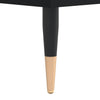 Schwarzer Schallplatten-Aufbewahrungsschrank Ionelica 100x38x48cm (Holz)