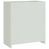 Hellgrauer Archivschrank Rahira 79x40x90cm (Stahl)