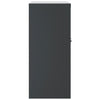 Archivschrank Rahira Anthrazit 79x40x90cm (Stahl)