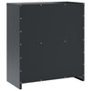 Archivschrank Rahira Anthrazit 79x40x90cm (Stahl)