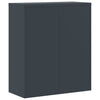 Archivschrank Anthrazit Meyer 90x40x105cm (Stahl)