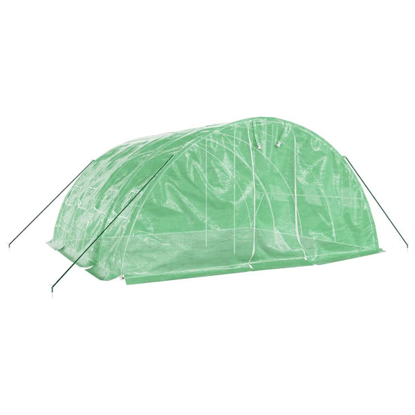 Grünes Gewächshaus mit Stahlrahmen Rikabi 20 m² 5x4x2,3 m