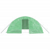 Grünes Gewächshaus mit Stahlrahmen Rikabi 20 m² 5x4x2,3 m