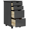 Graue Rollschubbox Moss Antusa (Kiefer)