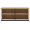 TV-Möbel Sonoma Eiche Ainuk 100x40x50cm (Holz)