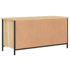TV-Möbel Sonoma Eiche Ainuk 100x40x50cm (Holz)