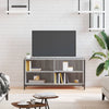 Graues TV-Möbel Ainuk 100x40x50cm (Holz)