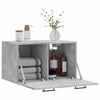 Betongrauer Wandschrank Zeina 60x36,5x35cm (Holz)