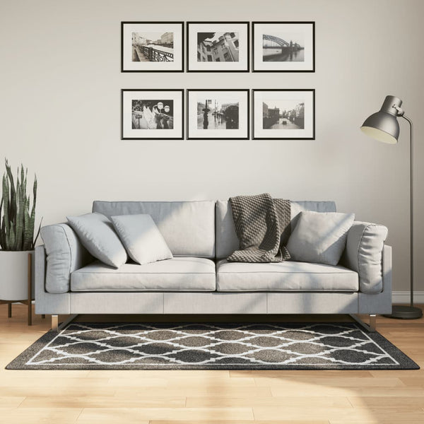 Schwarz-weißer Teppich waschbar Ifte 80x150cm (rutschfest)