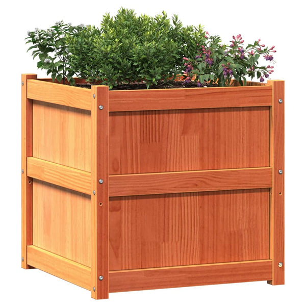 Wachsbraune Blumenkästen Zecrie (2er-Set Kiefer)