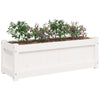 Weiße Blumenkästen für den Außenbereich Hidrometrica (2 Stück Kiefer)
