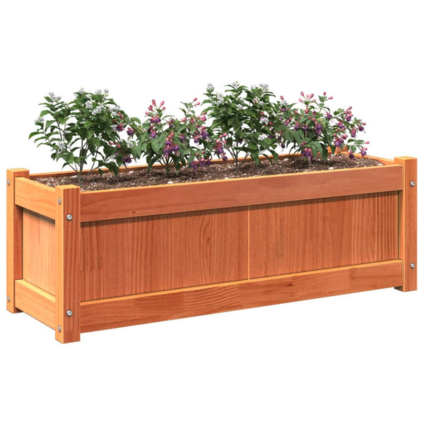 Wachsbraune Blumenkästen Hidrometrica (2 St. Kiefer)