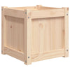 Pflanzkasten Etti 40x40x40cm (Kiefer)