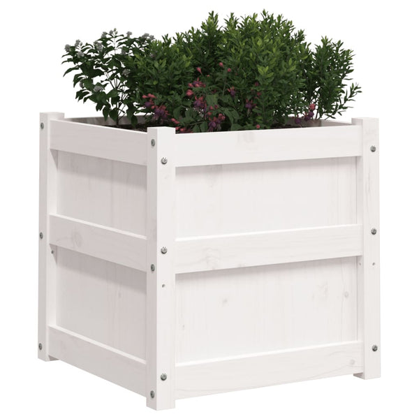 Weiße Blumenkästen für draußen Andrasi (2 Stück Kiefer)