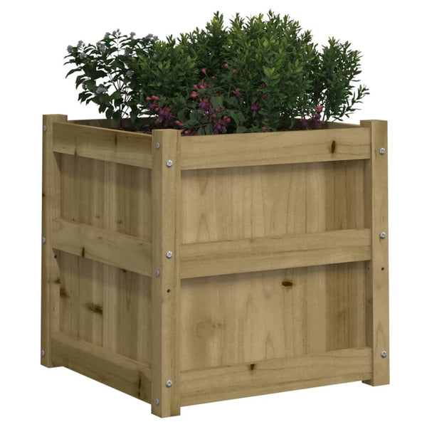 Imprägnierte Blumenkästen für den Außenbereich Andrasi (2 Stück Kiefer)