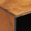 Mallory 100x33x46cm TV-Möbel (Mangoholz)