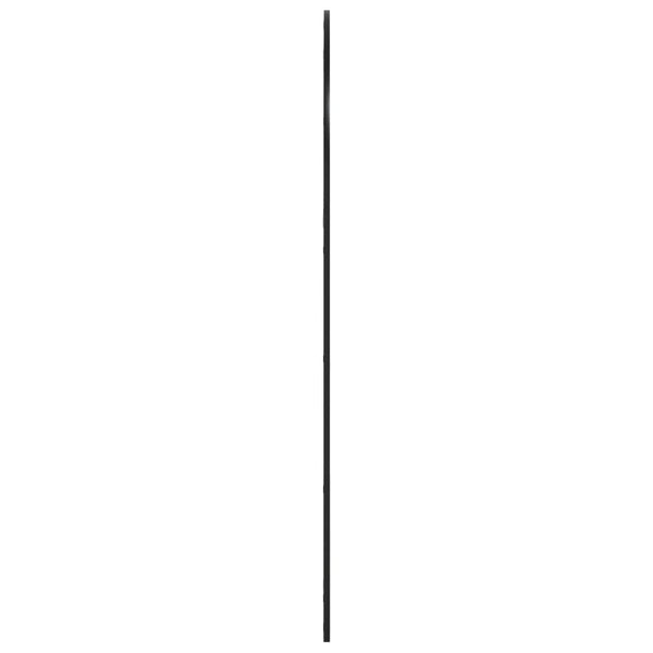 Schwarzer Wandspiegel Grozda 100x150cm (Bogeneisen)