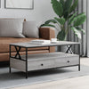 Grauer Couchtisch Transgaz 100x51x45cm (Holz)