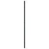 Schwarzer Wandspiegel Puggioli 30x80cm (Rechteck Eisen)