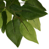 Künstliche Pflanze Ficus Stoichitoiu 150cm (756 Blätter)