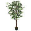 Grüne Kunstpflanze Ficus Anola 80cm (378 Blätter)