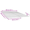 Lattenroste Swied 48 Latten 100x200cm (2 St.)