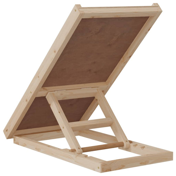 Graue Hunderampe Orca 70x35cm (Holz)