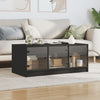 Schwarzer Couchtisch mit Glastüren Lura 102x50x42cm