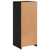 Schwarze Kommode mit LED-Beleuchtung Borselim 41x37x100cm