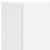 Weißer TV-Schrank mit LED-Beleuchtung Misu 30,5x30x102cm