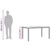 Grauer Gartentisch Marisela 150x90x75cm (Polyrattan)