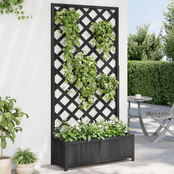 Kaetana schwarzer Blumenkasten mit Spalier (sechs)