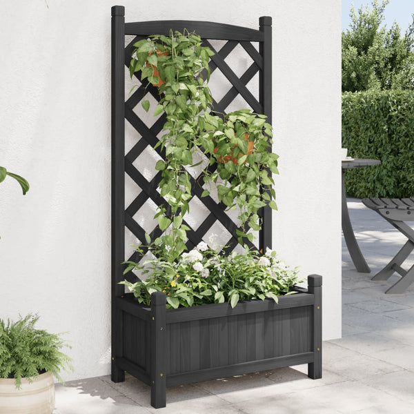 Maer Blumenkasten (sechs) mit schwarzem Rankgitter