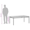 Beiger Gartentisch Geler 180x90x75cm (Polyrattan und Akazienholz)