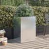 Blumenkasten Eusebie 52x48x75cm Silber (Edelstahl)