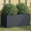 Blumenkasten Eusebie Anthrazit 62x30x29cm (kaltgewalzter Stahl)