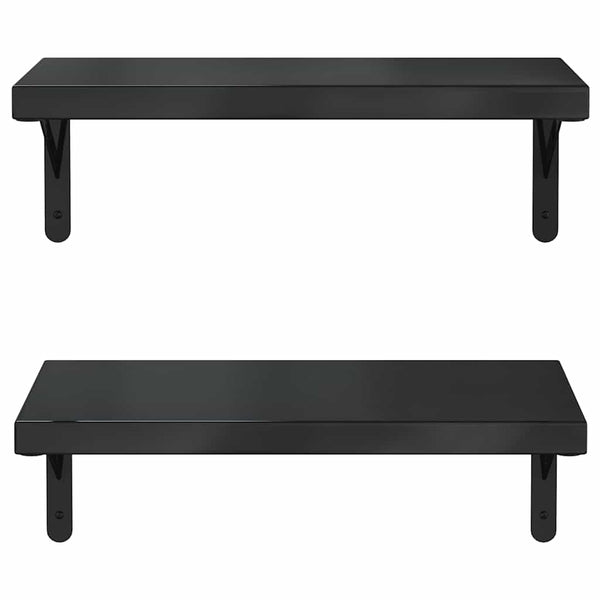 Schwarze Wandregale Niolina 50x23,5cm (2 Stück Edelstahl)