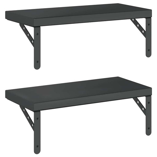 Schwarze Wandregale Niolina 50x23,5cm (2 Stück Edelstahl)