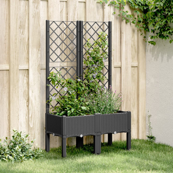 Schwarzer Blumenkasten mit Spalier Cairula 80x40x142cm (pp)