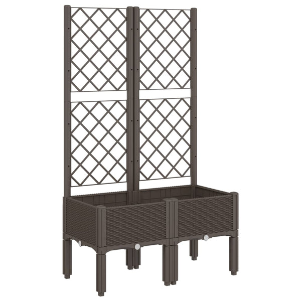 Brauner Blumenkasten mit Spalier Cairula 80x40x142cm (pp)