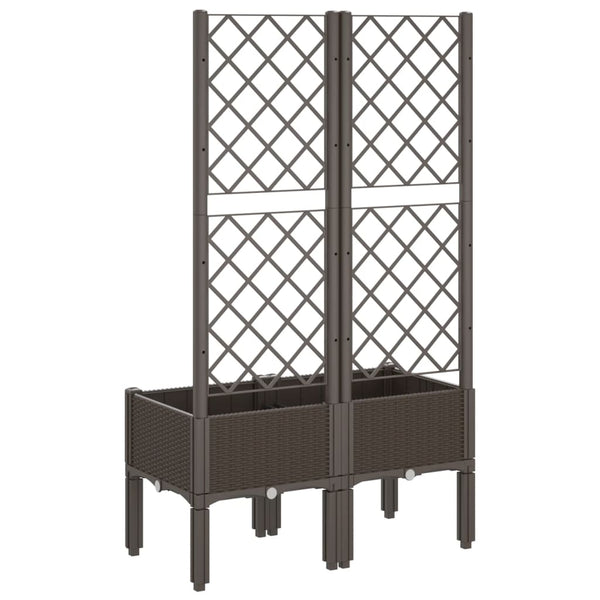 Brauner Blumenkasten mit Spalier Cairula 80x40x142cm (pp)