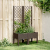 Brauner Blumenkasten mit Spalier Cairula 80x40x142cm (pp)