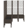 Brauner Blumenkasten mit Rankgitter Cairula 160x120x142cm (PP)